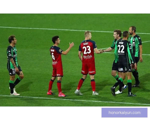 费耶诺德边路进攻持续稳健，预计将提升球队整体竞争力